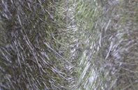 The Toft fibreglass roof work